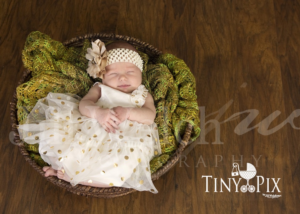 newborn baby photography panel pictures columbus fort benning GA, family photography pictures packages cheap columbus fort benning GA, babys first pictures columbus fort benning GA, maternity pictures photography columbus fort benning GA, professional photographer pictures columbus fort benning GA, Jill Welch Photography columbus fort benning GA, Tiny Pix Columbus fort benning GA